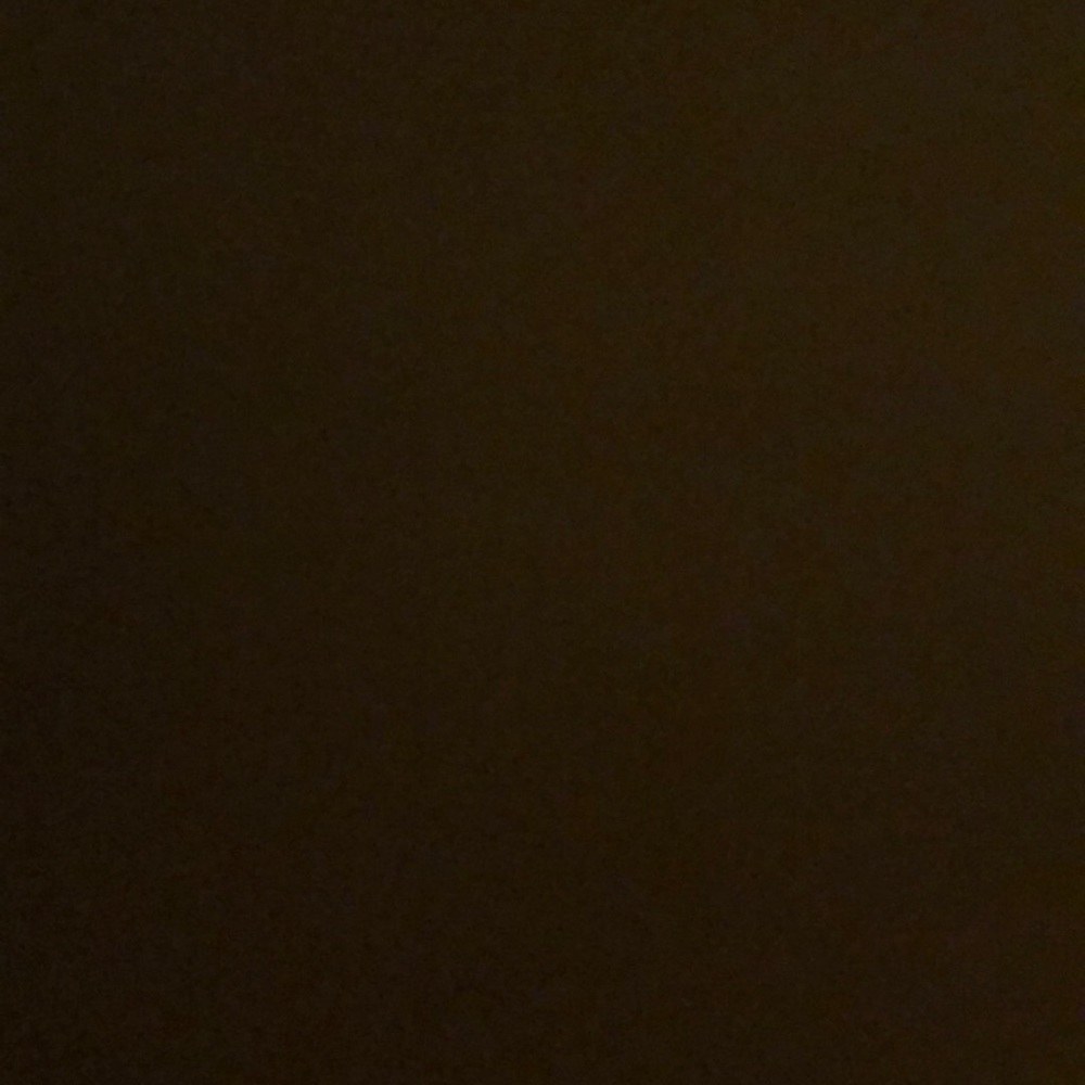 Meet your Posher, Ellie